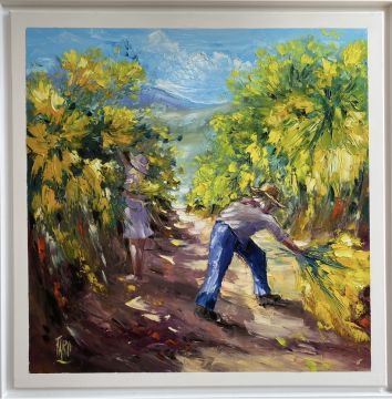 Roger FAGES - Cueillette du mimosas sur la côte d Azur