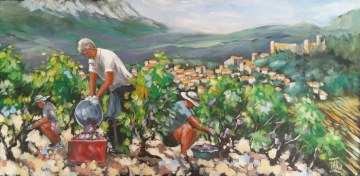 Roger FAGES - vendanges sur les hauteurs de DURBAN